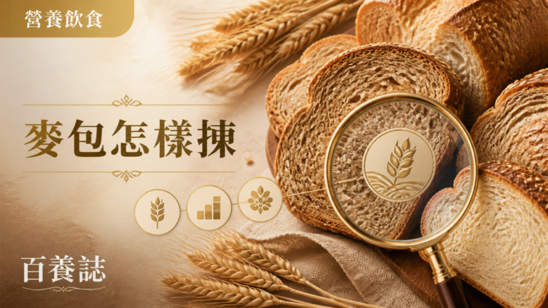 金銅啡米白多款麥包、麥穗、放大鏡與營養圖示封面，文字為營養飲食、麥包怎樣揀、百養誌