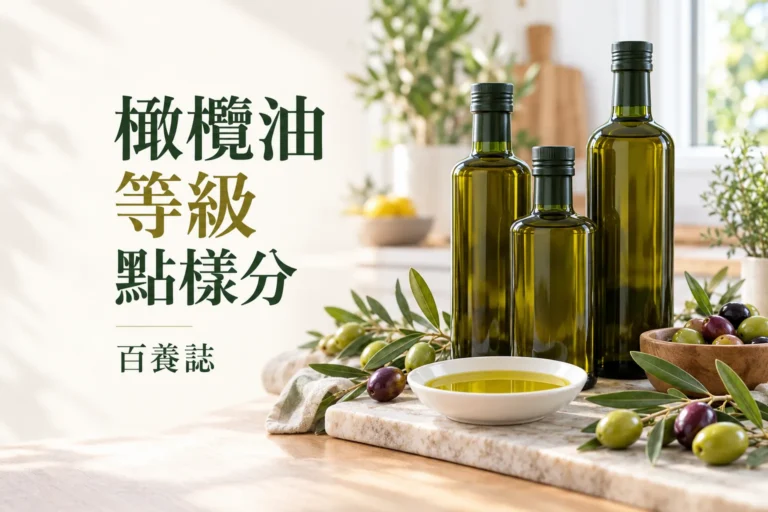 深綠橄欖油瓶、橄欖及油碟的自然彩色構圖，呈現橄欖油等級與完整標籤判讀