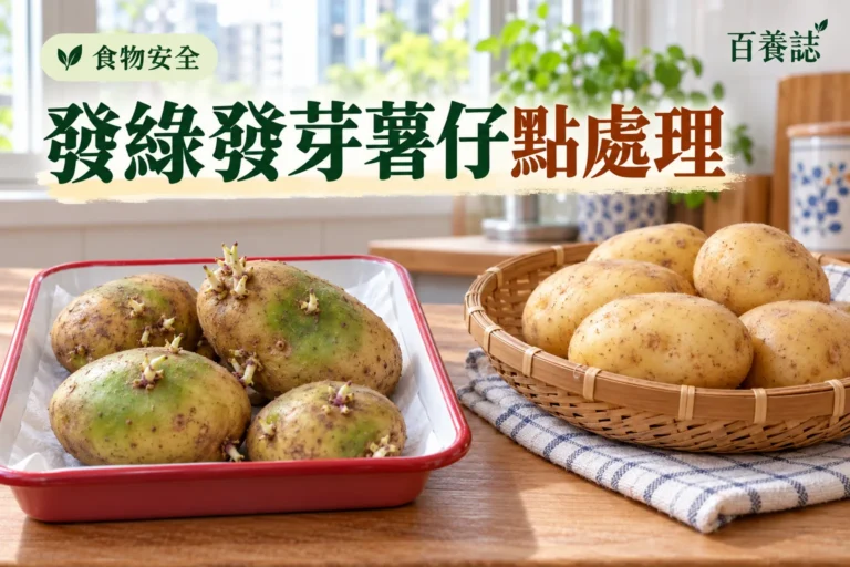 百養誌發綠發芽薯仔點處理的自然彩色健康教育情境封面；沒有個人診斷或治療結果。