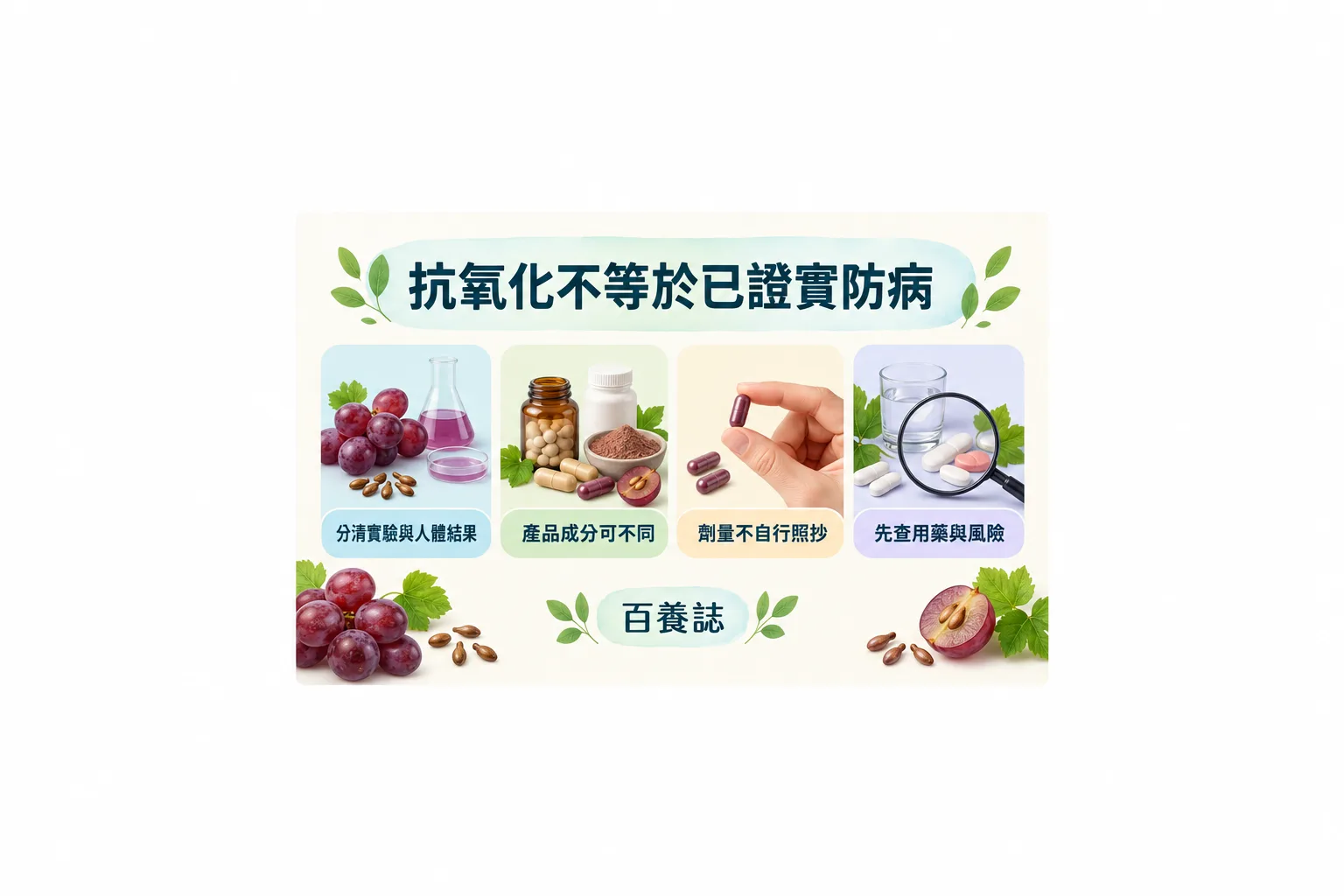 葡萄籽補充劑證據圖卡,提醒區分實驗與人體結果、產品差異、劑量及用藥風險。